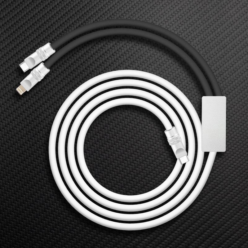"Multi Chubby" 2 IN 1 100W Charge Cable