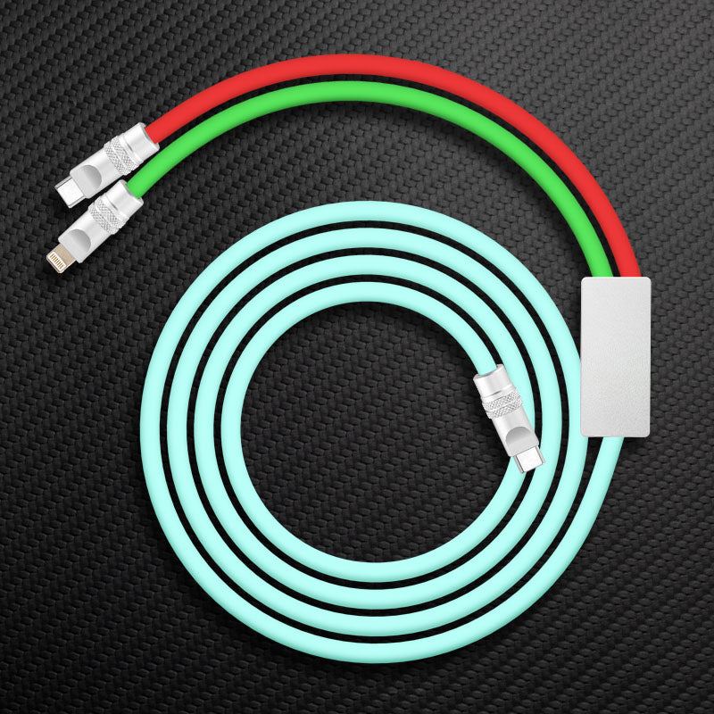 "Multi Chubby" 2 IN 1 100W Charge Cable