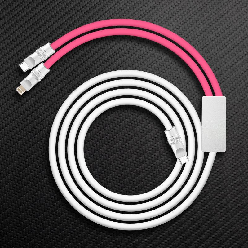 "Multi Chubby" 2 IN 1 100W Charge Cable