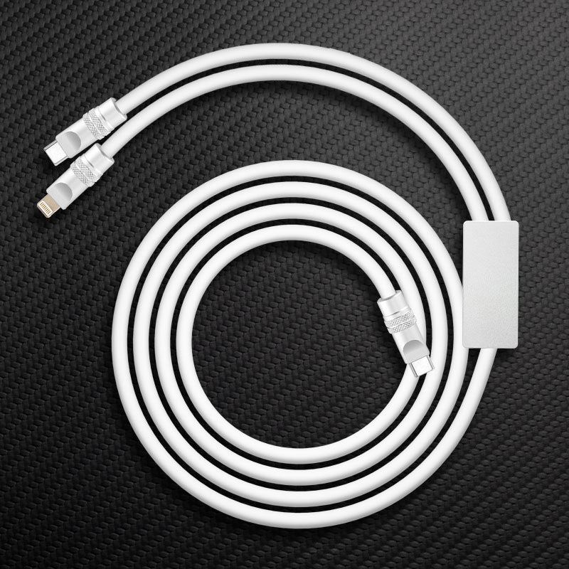"Multi Chubby" 2 IN 1 100W Charge Cable