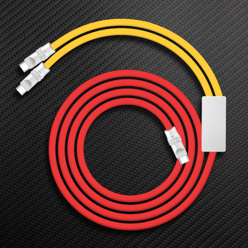 "Multi Chubby" 2 IN 1 100W Charge Cable